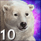 White Bear Hunting Season Opened