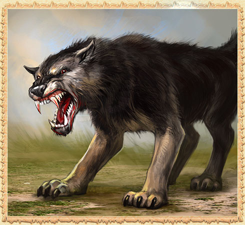 Rabid Dog